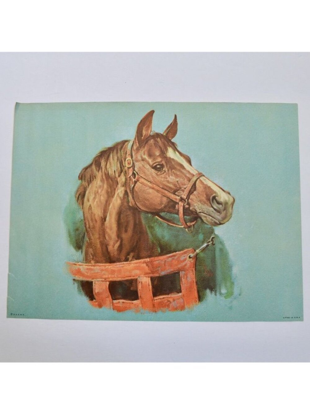 Donald Art Company Litho Print Horse 12 x 9"